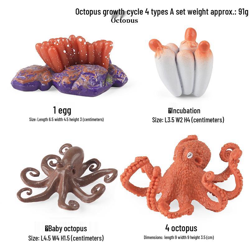 Ocean Wildlife Simulation Toy Set: Sea Turtle, Shark, Whale, Sea Lion, Tiger Shark, Manta Ray, Seal, Grouper.