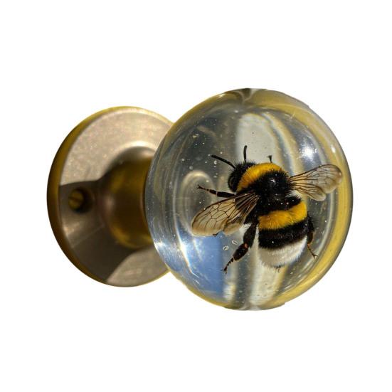 Декоративная дверная ручка круглая прозрачная цветок животное дверная ручка вдохновленная природой фурнитура для замены ручки двери дома офиса благоустройство дома