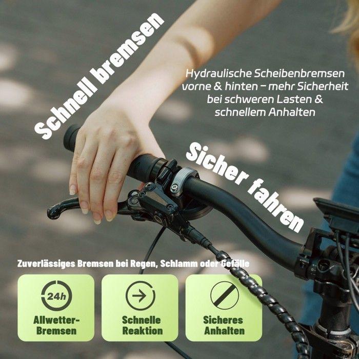 Fafrees FF20 CUV - Vélo cargo électrique - 250 W - 48 V - 24 Ah - Moyeu 20 pouces - Vitesse maximale 25 km/h - Bleu