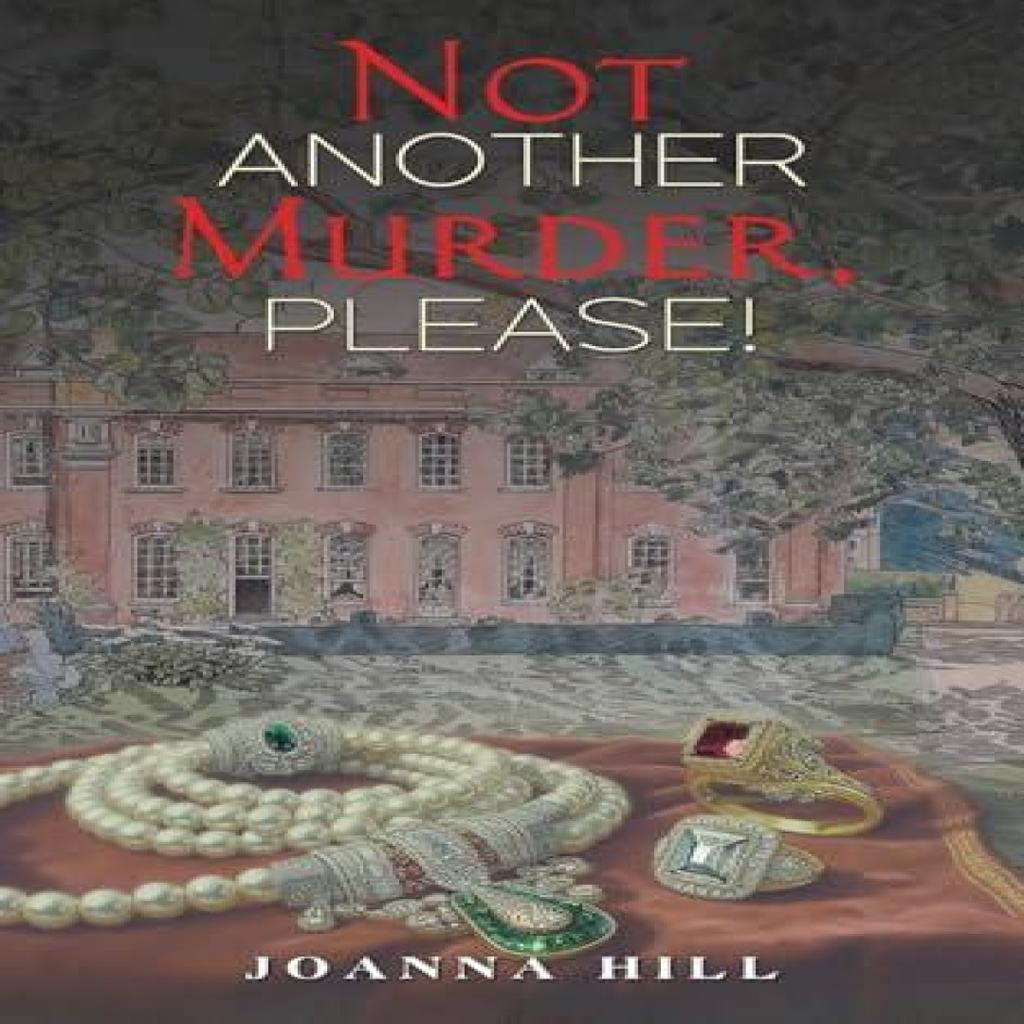 Not Another Murder Please by Joanna Hill Paperback Book 9781035885541