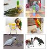 Bird Training Toys Set Parrot Intelligence Toy Colorful Safe Material for Budgie Parakeet Cockatiel Macaw 4 Sorts