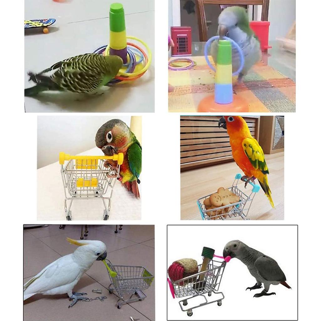 Bird Training Toys Set Parrot Intelligence Toy Colorful Safe Material for Budgie Parakeet Cockatiel Macaw 4 Sorts