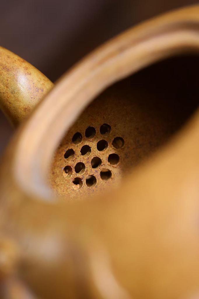Auspicious Dragon Bone Gold Sand Yixing Zisha Teapot 340cc Large Capacity