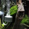 CO2 Generato With Suction Cup Fish Tank Bubble Atomizer Aquarium Accessoires For Aquatic Plant Growth Aquarium CO2 DiffuserGood product
