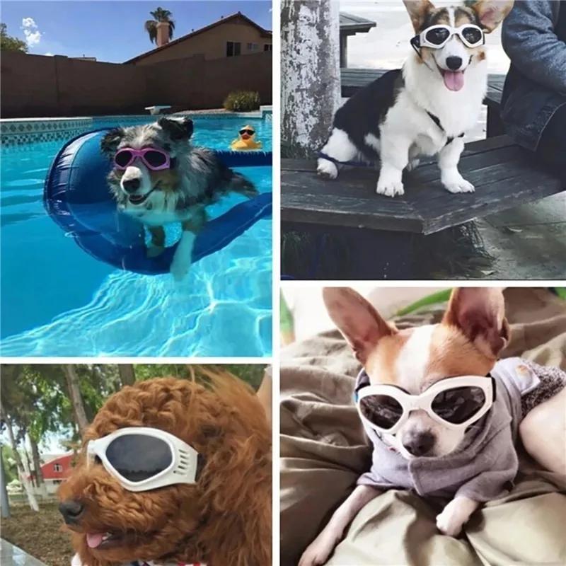 2025 Pet Sunglasses – Stylish UV Protection Goggles For Dogs & Cats With Puppy Eye Wear Decoration & Safety
