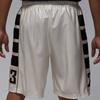 Jordan Мужские шорты Brooklyn Cat Scratch HV0560-133