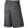 Jordan Dri-FIT Double Crossover Дышащие Легкие Удобные Шнуровка Баскетбольные Шорты Мужские шорты 811466-021