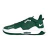 Nike PG 5 TB Fir Мужские кроссовки Зеленый Белый DM5045-301