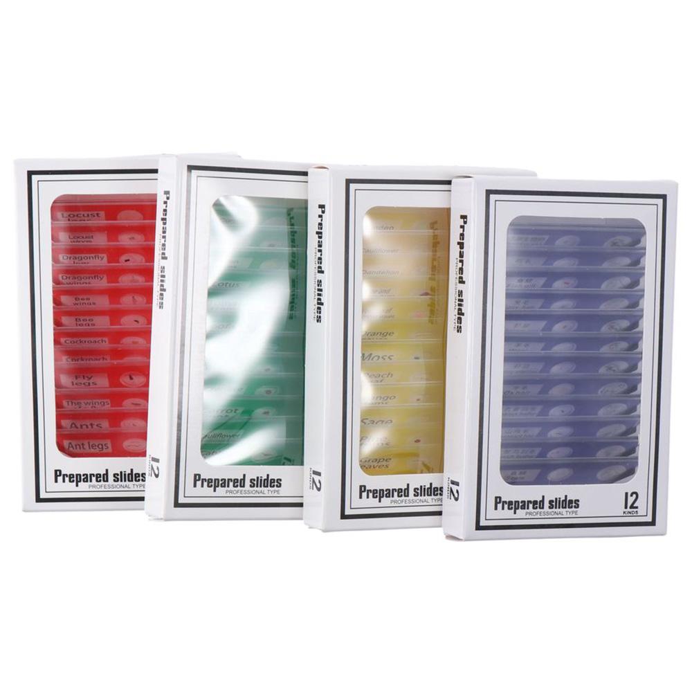 Пластиковые предметные стекла для микроскопа Образцы Животные Насекомые Растения Цветы Образцы для микроскопа Готовые препараты Разноцветные