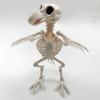 Plastic Halloween Prop Skeleton Raven Animal Skeleton Bones Crow Skeleton Halloween Decoration