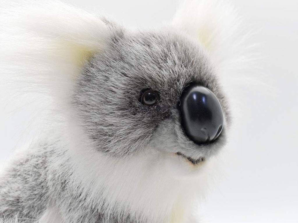 BH3637 HANSA Koala 26