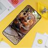 Animal Beaver Cover For Samsung Galaxy A34 A35 A14 A15 A25 A53 A33 A13 A52 A32 A12 A51 A71 A54 A55 Case