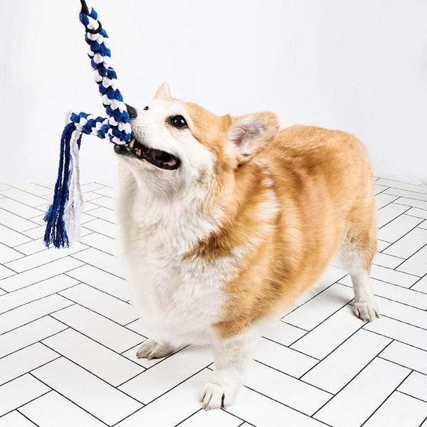 Игрушка для собак Dingdong Pet-буксир, 42 см, синий, фиолетовый, 1 комплект