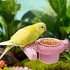 Смоляная кормушка-клетка для птиц, нескользящая, износостойкая, жердочка-подставка для птиц, палочка для грызения попугаем, платформа для прыжков, поилка для птиц