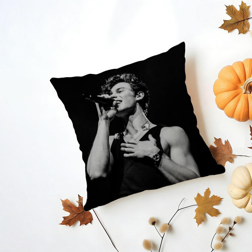 Singer SShawn Mendes Cushion Cover Iceland Washable Linen Soft for Daily Sofa Bed Home Room Decor