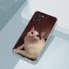 Забавный Милый Чехол для Телефона с Кошкой для iPhone11,12,13,14,15,16,17,Plus,Pro,Max,Plus,Прозрачный Чехол