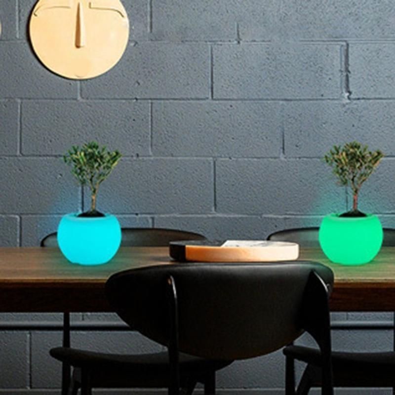 Modern Succulents Planter LED Color Changing Light Indoor Home Decoration J0MC