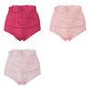 3PCS Ladies Sexy Mesh Panties High-waist Seamless Lace Underwear Briefs Women Knickers Transparent Lingerie