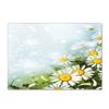 Abstract Daisy Art Large Carpet Living Room Floor Mat Colorful Pattern