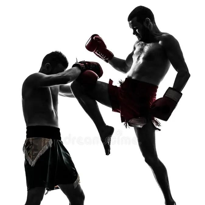 Vintage Japanese Samurai Ghost Mask Boxing Muay Thai Kickboxing Shorts Pants 3D Print Training Unisex Men Women Quick Dry Fitness Gym Sport Workout