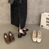 French Spring Mary Jane Shoes Korean Version Shallow Mouth Single Shoes Women's Evening Wind 2025 Small Leather Shoes Medium Thick Heel New Retro
