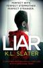 The Liar Book