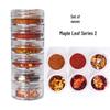 6-Piece Autumn & Winter Maple Leaf Glitter Nail Art Set