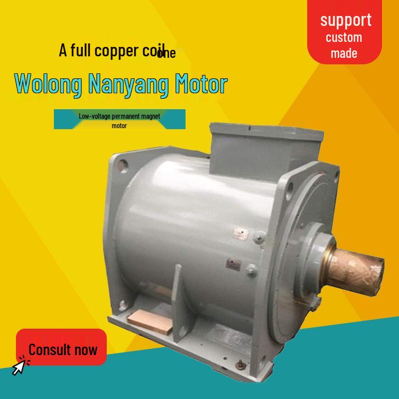 Wolong Nanyang Low-Voltage PM Direct-Drive VFD Three-Phase Synchronous Motor