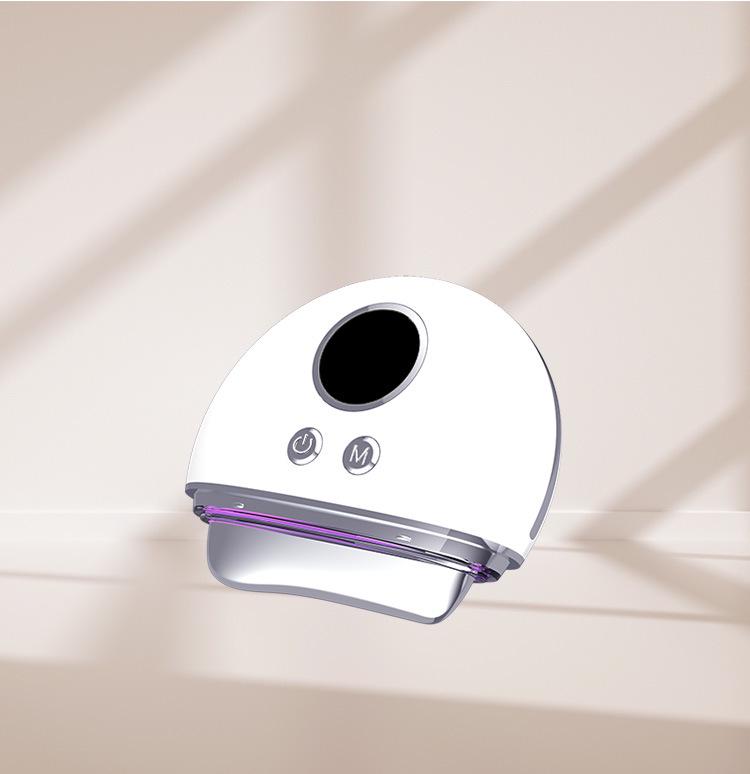 Multifunctional Beauty Instrument: Red/Blue Light Facial & Neck Massager with Gua Sha