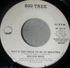 7-дюймовая пластинка WILSON BROS.  Почему ты должна быть такой красивой BT16116 Big Tree Record 1978 US Rock Б/у