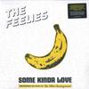 LP Record FEELIES - Some Kinda Love (Performing The Mus BRNLP303 Bar/None Record 2023 US Rock