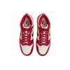 Nike Кроссовки женские Dunk High Gym Red Sail Gum Gum-светло-коричневые белые DD1869-114