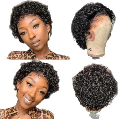 New product European, American rose net curly hair African fashion small curl short curly hair wig cover in stock