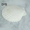 10Pcs Natural Scallop Shells DIY Crafts Theme Party Decor Bright White Seashells Jewelry Christmas Decoration