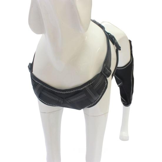 Фиксатор колена для задней ноги собаки Фиксатор колена для бедра собаки Поддержка передней крестообразной связки при дисплазии тазобедренного сустава у собак Артрит Вывих коленной чашечки