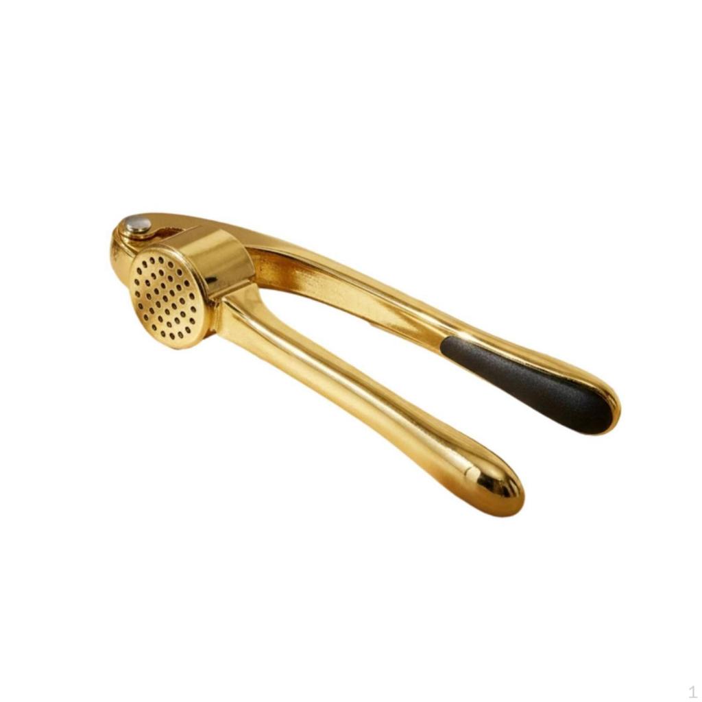 Garlic Press Zinc Alloy with Storage Box HandPress for Home Cooks, Everyday Cooking,