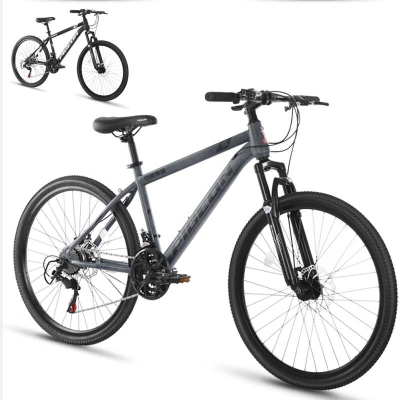 Flying Pigeon DF005 Mountain Bike