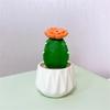 Mini Artificial Cactus and Bonsais Figure Resins Succulent Faux Potted Plant Figurine for Home and Office Desktop Decors