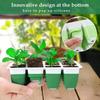 Подносы для рассады, подносы для проращивания растений с куполами и основаниями с вентиляцией для влажности, садовые принадлежности для выращивания в помещении