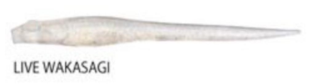 Megabass Мягкая приманка Hazedong 5 дюймов Live Wakasagi (0770)