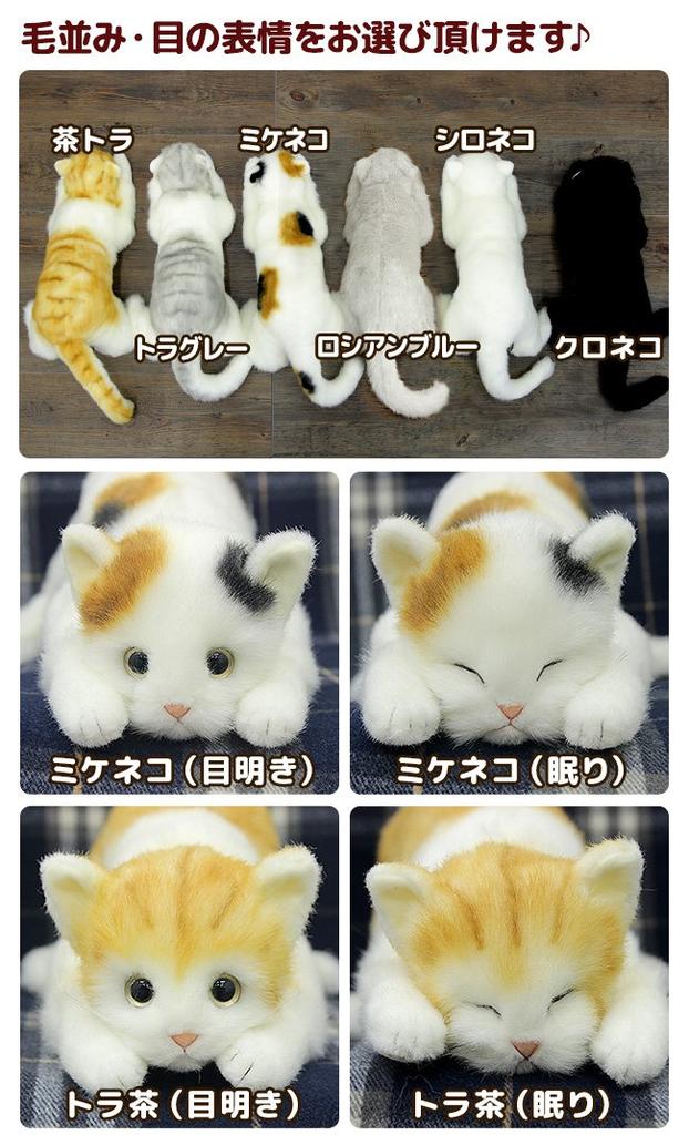 Real Series Made In Japan Realistic Cat Stuffed Toy 58cm Cat L (Black Eyes)