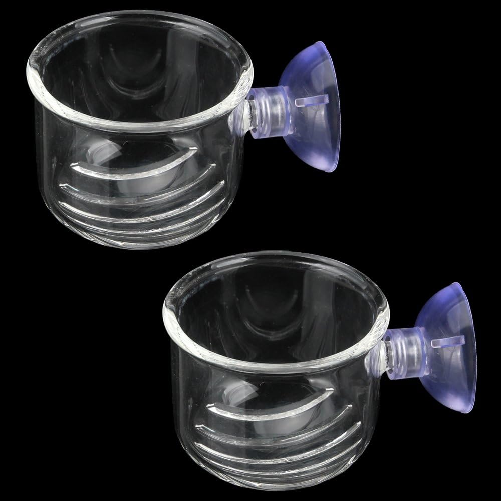 2Pcs Large Glass Feeding Cone Cup Plant Cup Brine Shrimp Live Red Worm Fish Feeder For Aquariums With Seam