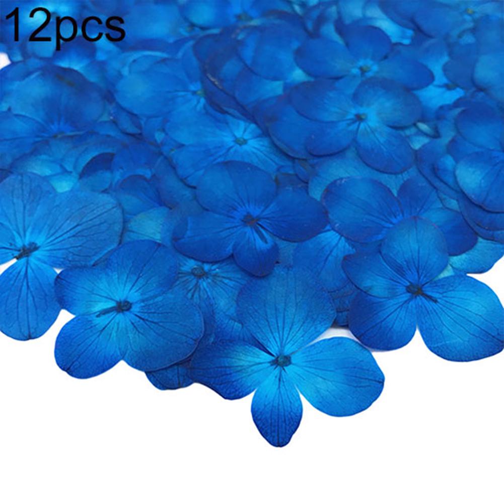 Yousheng Dried Flower 12Pcs Pressed Plant Specimen Epoxy Resin Phone Decor DIY Accessory