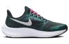 Nike Женские кроссовки Air Zoom Pegasus 39 FlyEase 'Deep Jungle Metallic Silver' DJ7383-301