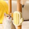 3-in-1 Cat Self Groomer Brush Wall Corner Massage Comb with Catnip Ball Feather Toys Cactus Shape Cat Face Scratcher for Indoor Cats