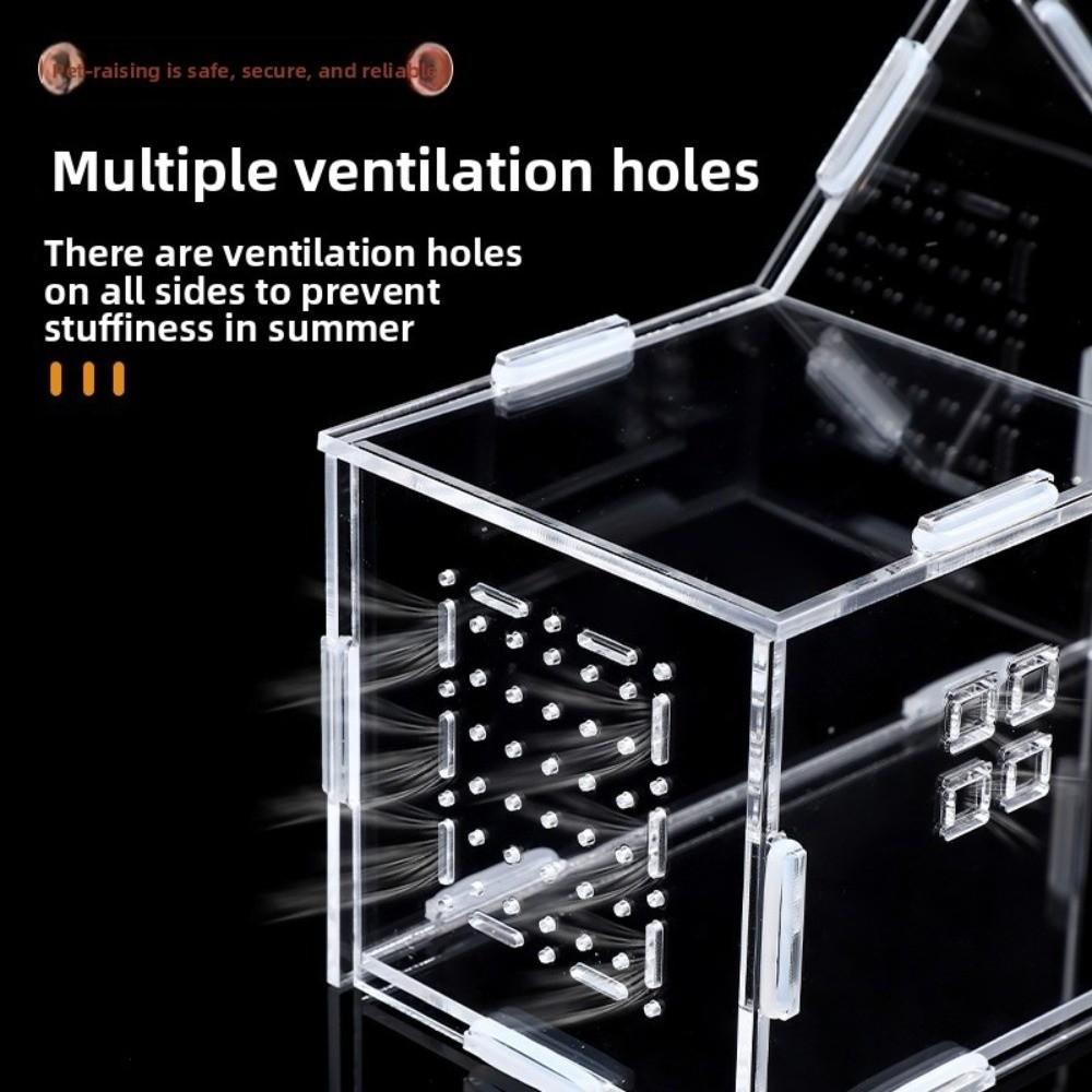 Новый акриловый террариум для рептилий, вентилируемый, с защитой от побега, кормушка для пауков, прозрачный вольер для древесных тарантулов, товары для мелких животных