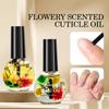 Cuticle Oil WIth Dried Flower - Revitalizer Cuticle Oil For Nails Hydrating Nail Cuticle Oil Cuticle Softene