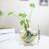 Стеклянная художественная цветочная композиция DIY настольные украшения прозрачные креативные украшения для дома