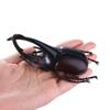 Toy Kids Joke Toys Fake Beetle Beetle Toys Insect Model Simulation Beetle Special Lifelike Model