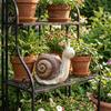 Resin Snail Flowerpot Cute Creature Planter Multi-functional Snail Planter  Patio
